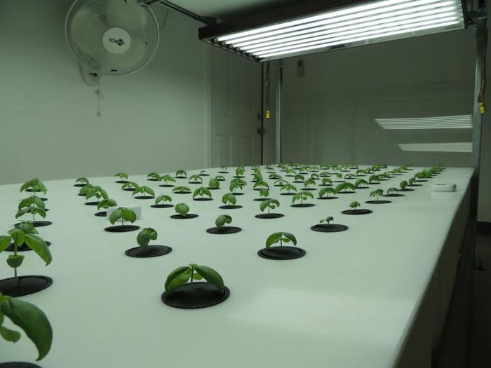 The Grow Lid