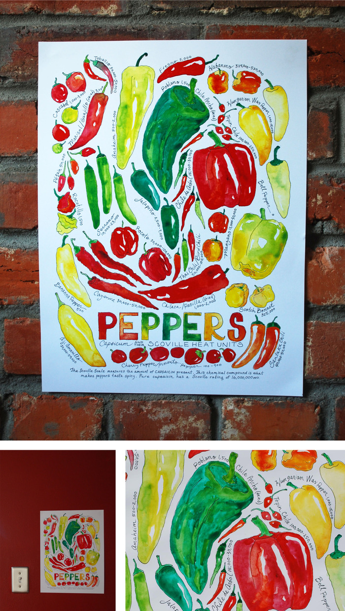 Pepper Poster, 11x14