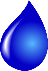 Water– The Hydrosphere: The kids learn about the water cycle, available water percentages, finding and stopping water leaks, and simple ways to reduce water usage.