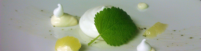 When life gives you lemons: Lemon mousse, lemon meringue, lemon confit and lemon balm.
