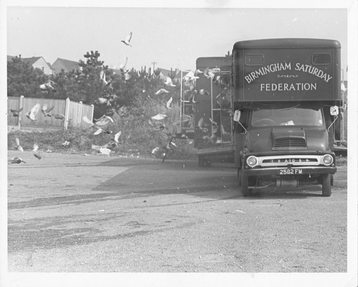 A pigeon liberation, photo taken by Ray in 1968