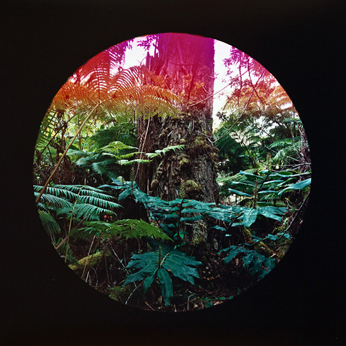 Klea's circular photograph from the series "Volcano Watchers".