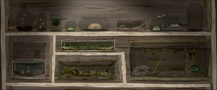 Malcolm's Specimens in Jars and Tanks