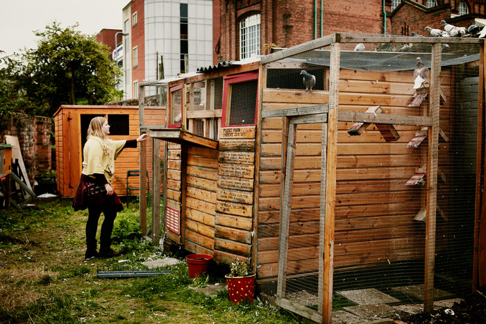 Alex tending to the pigeons at Project Pigeon's loft