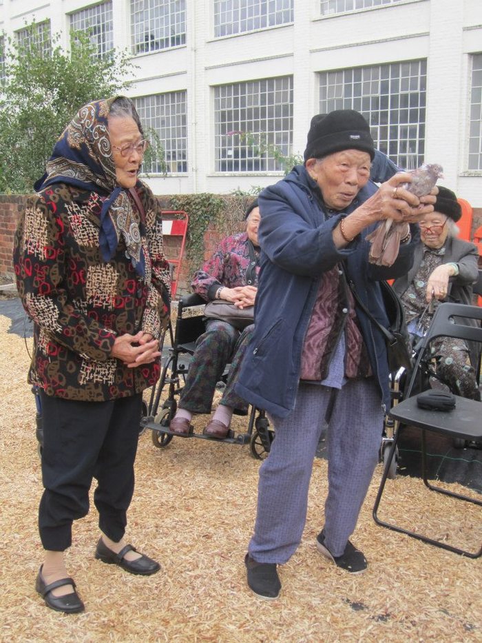 Elders from the local Chinese Community Centre visiting Project Pigeon's loft