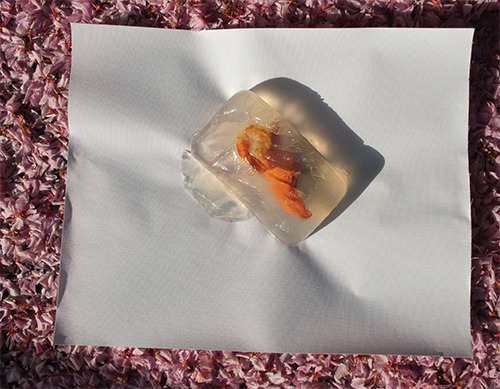 Transparency, from Saucy Issue 3: Dangerous Food