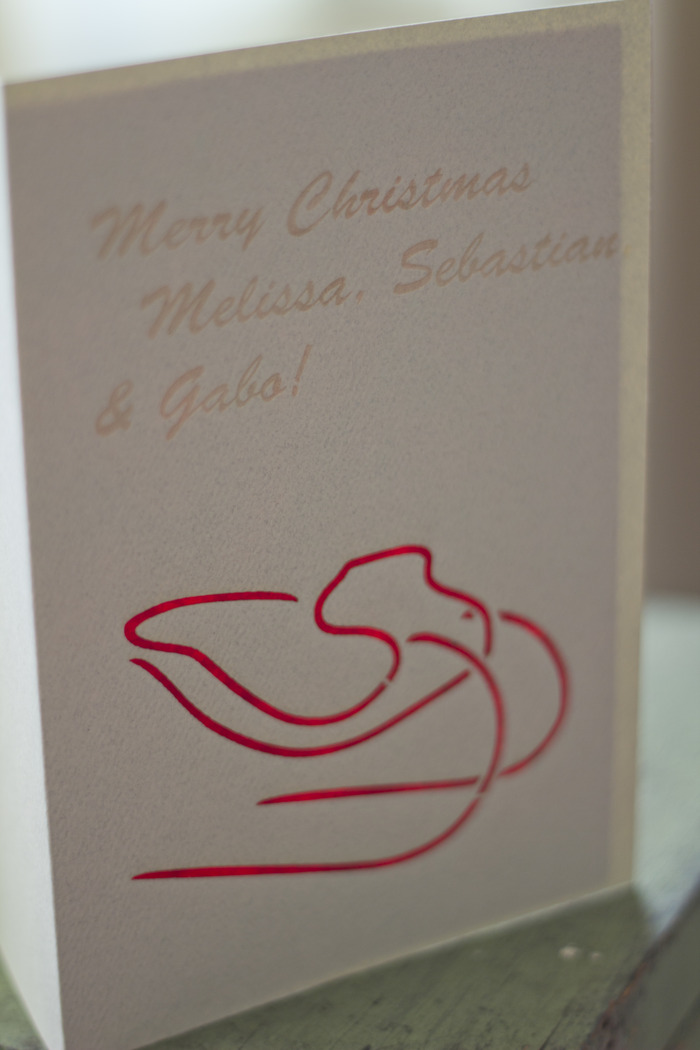 Christmas Sleigh - Hemp Card