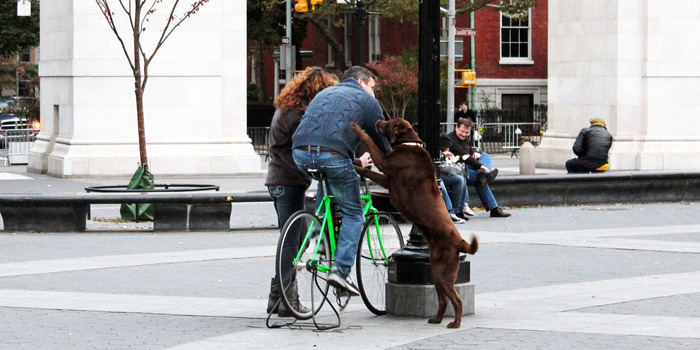Washington Square Park
