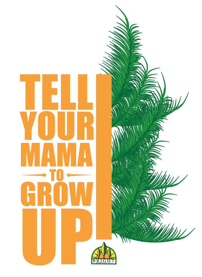 T-shirt/Decal option #1: Your Mama