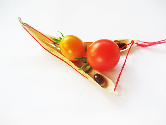 #3 - 10 of 10 left - Mixed Cherries and Cherokee Trail of Tears Bean No. 1