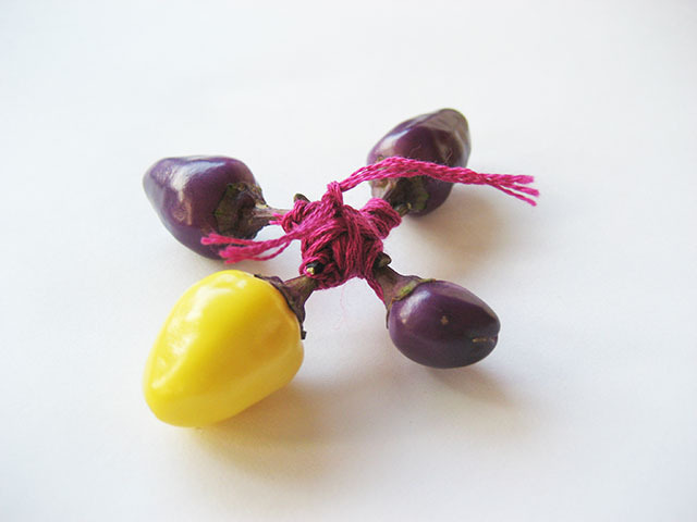 #4 - 10 of 10 left - Chinese Five Color Peppers No. 2