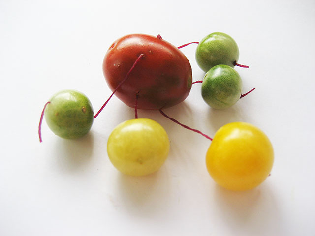 #7 - 10 of 10 left - Mixed Cherries No. 5