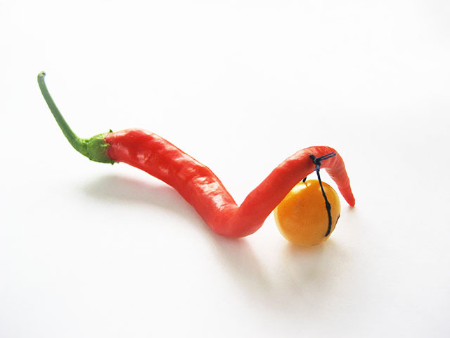 #9 - 10 of 10 left - Corbasi Pepper and Egg Yolk Tomato No. 2