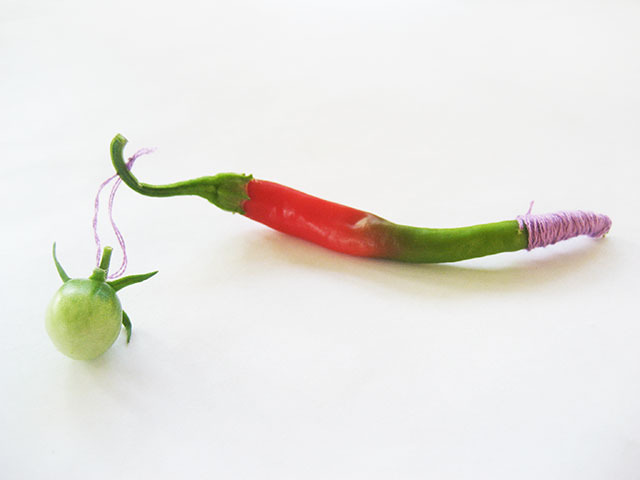 #10 - 10 of 10 left - Corbasi Pepper and Egg Yolk Tomato No. 1