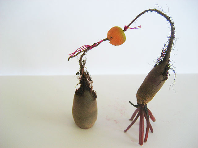 #15 - 10 of 10 left - Cylindra Beets and Parisian Market Carrot No. 1