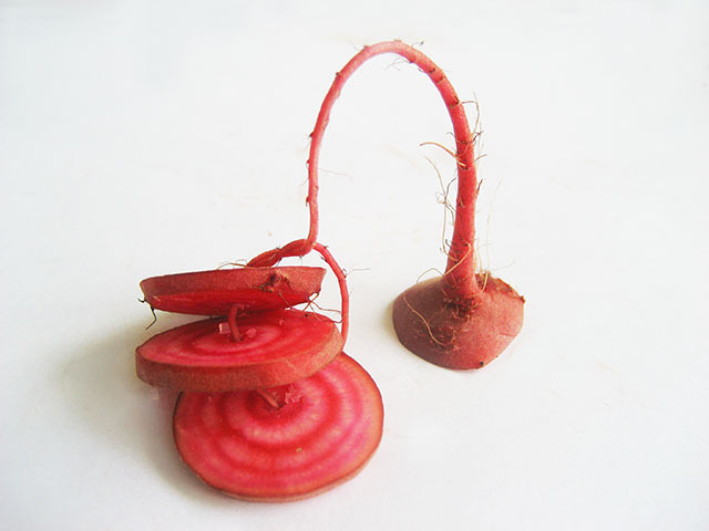 #18 - 10 of 10 left - Chioggia Beet No. 1