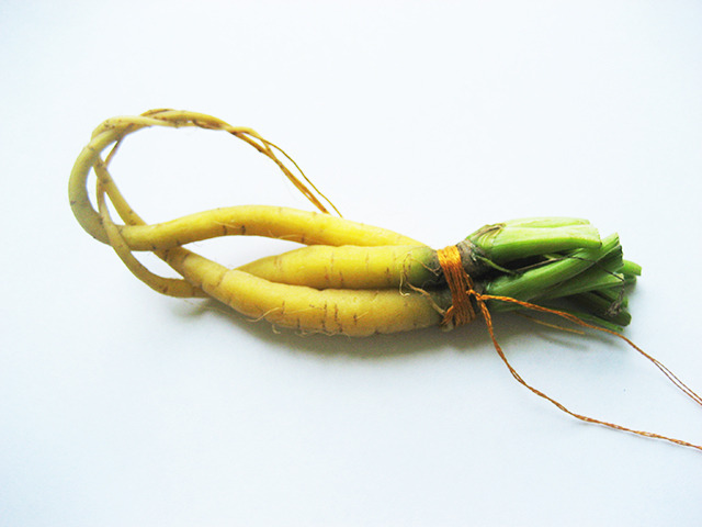 #21 - 10 of 10 left - Amarillo Carrots No. 1