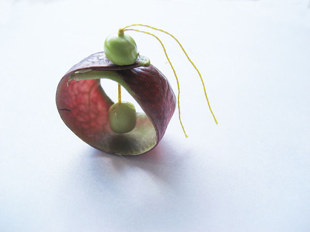 #33 - 10 of 10 left - Purple Podded Pea No. 5