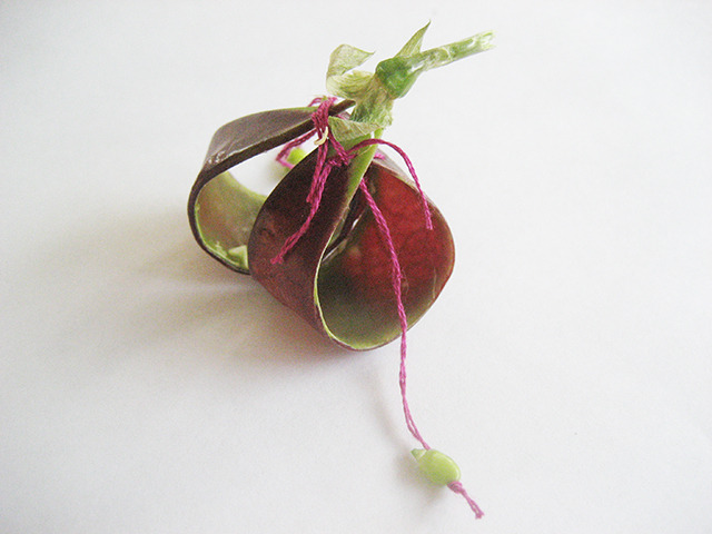 #36 - 10 of 10 left - Purple Podded Pea No. 3