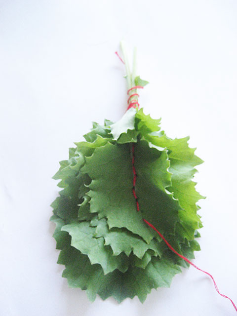 #39 - 10 of 10 left - Ragged Jack Kale No. 1