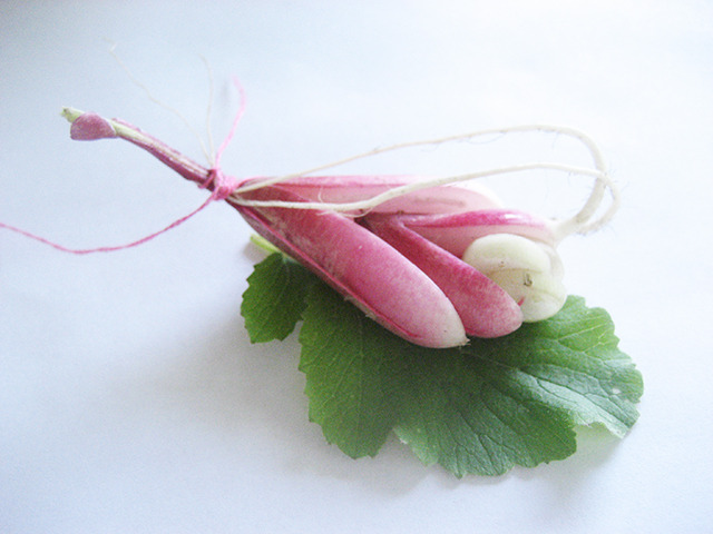 #40 - 10 of 10 left - French Breakfast Radish No. 3