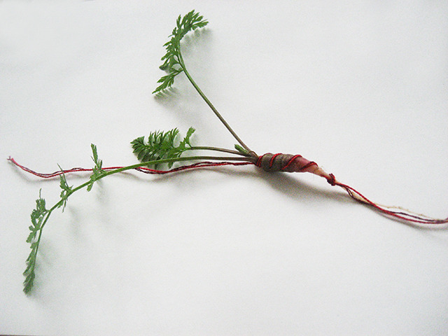 #44 - 10 of 10 left - Cosmic Purple Carrot No. 1