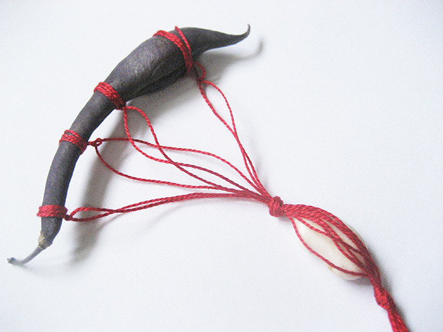 #50 - 10 of 10 remaining - Purple Podded Pole Bean No. 3