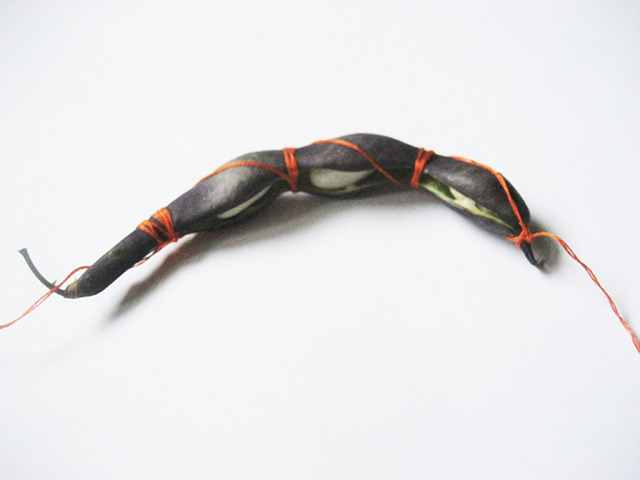 #52 - 10 of 10 left - Purple Podded Bean No. 2