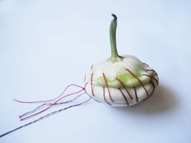 #53 - 10 of 10 left - Pattypan Squash No. 1
