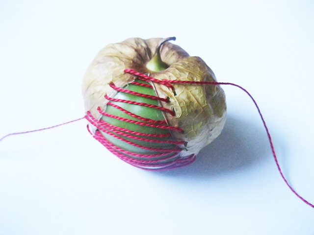 #57 - 10 of 10 left - Tomatillo No. 1