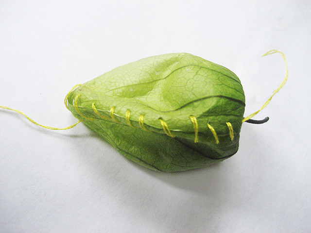 #59 - 10 of 10 left - Tomatillo No. 2