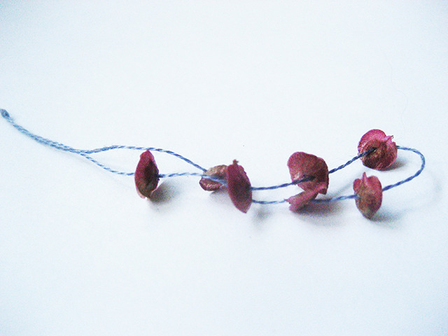 #60 - 10 of 10 left - Red Orach Seeds No. 1