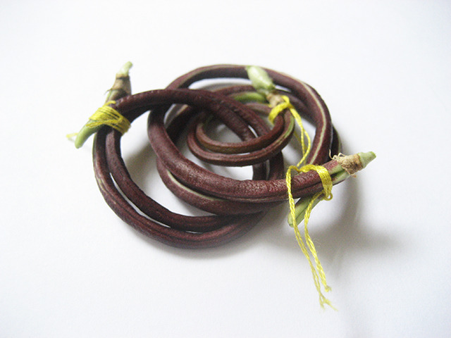 #62 - 10 of 10 remaining - Chinese Red Noodle Bean No. 1