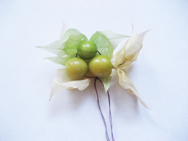 #67 - 10 of 10 remaining - Aunt Molly's Ground Cherries No.1