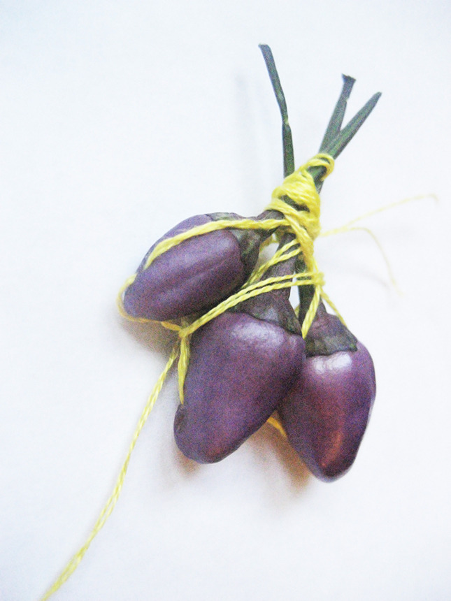 #68 - 10 of 10 left - Chinese Five Color Peppers No. 1