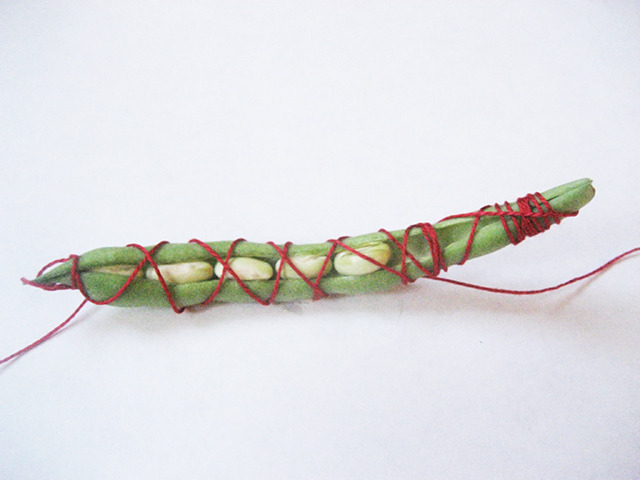 #69 - 10 of 10 left - Soldier Bean No. 1