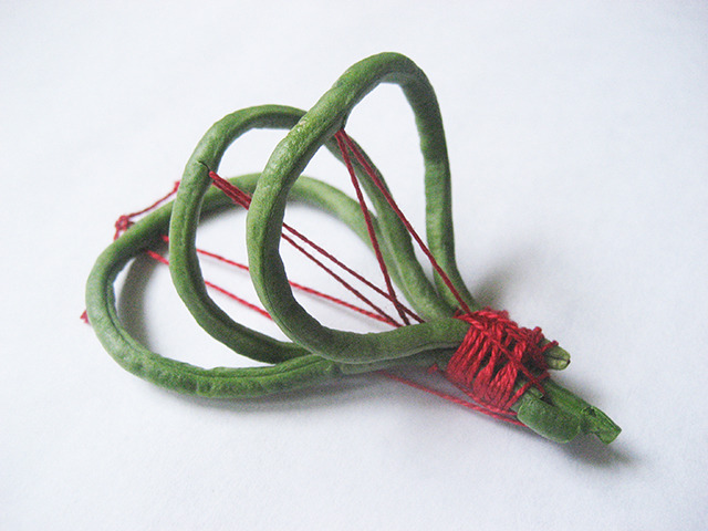 #70 - 10 of 10 left - Asian Long Bean No. 7
