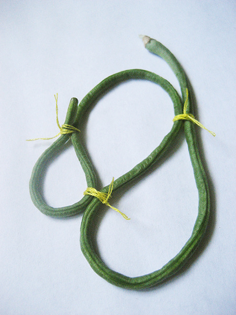 #71 - 10 of 10 left - Asian Long Bean No. 6