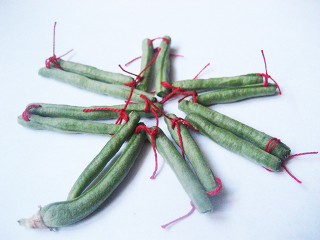#73 - 10 of 10 left - Asian Long Bean No. 4