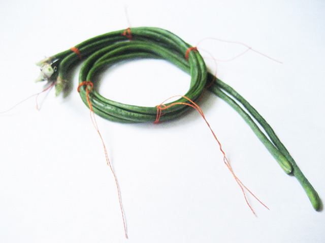 #74 - 10 of 10 left - Asian Long Bean No. 3