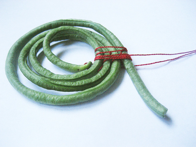 #75 - 10 of 10 left - Asian Long Bean No. 2