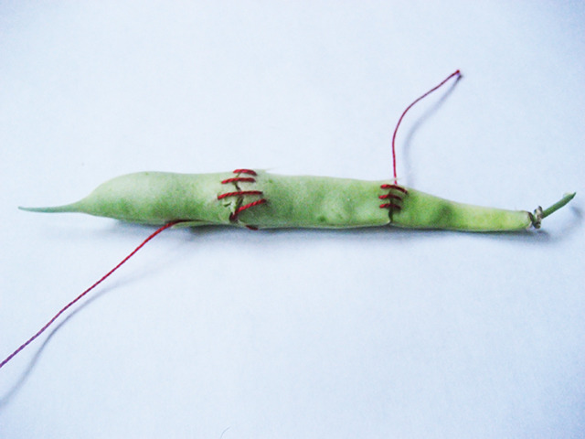 #77 - 10 of 10 left - Provider Bean No.1