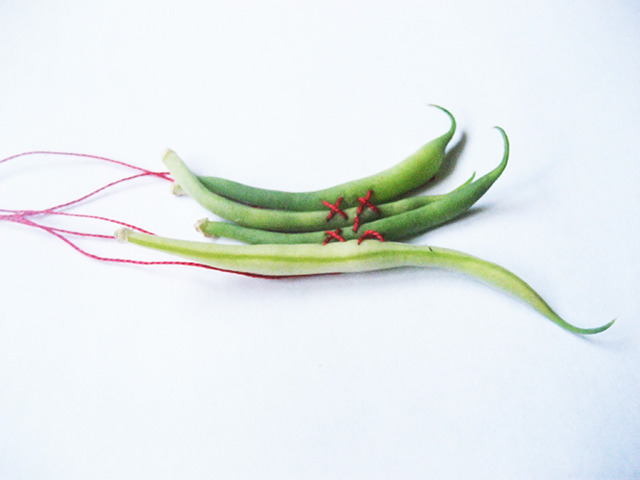 #78 - 10 of 10 left - French Climbing Bean No. 1