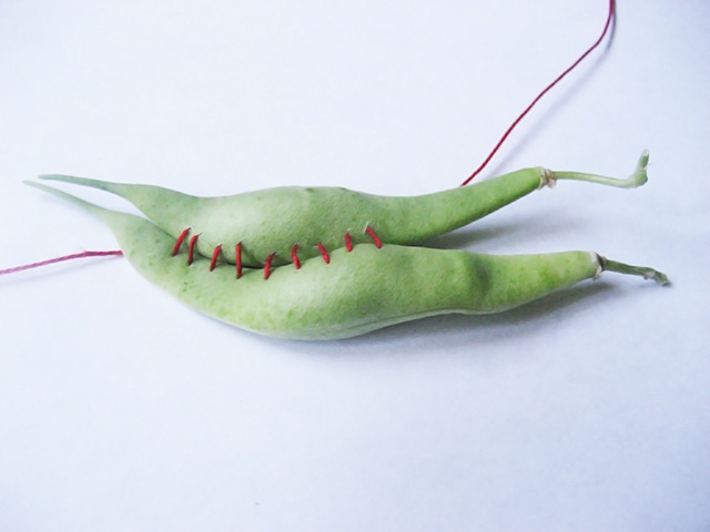 #79 - 10 of 10 left - Marifax Bean No. 1