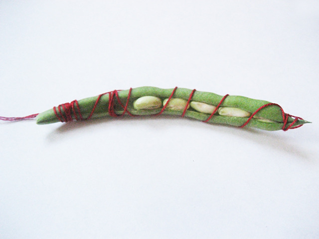 #80 - 10 of 10 left - Soldier Bean No. 2