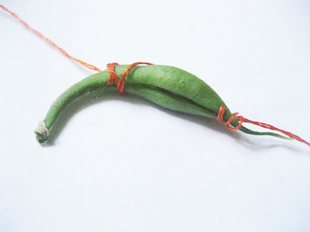 #83 - 10 of 10 left - Fin De Bagnol Bean No. 2