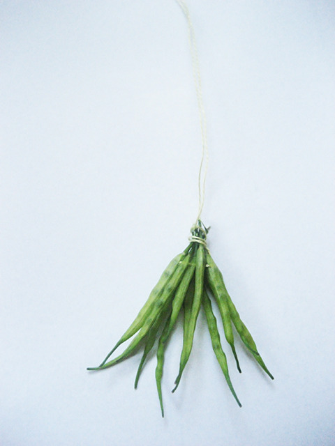 #88 - 10 of 10 - Kale Seeds No. 3