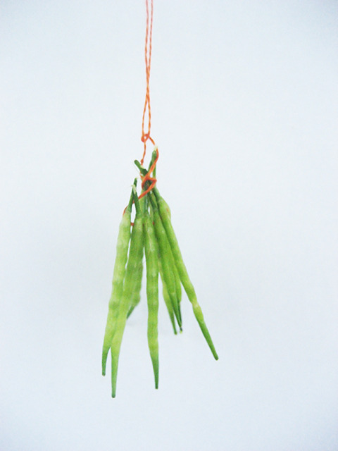 #89 - 10 of 10 left - Kale Seeds No. 2