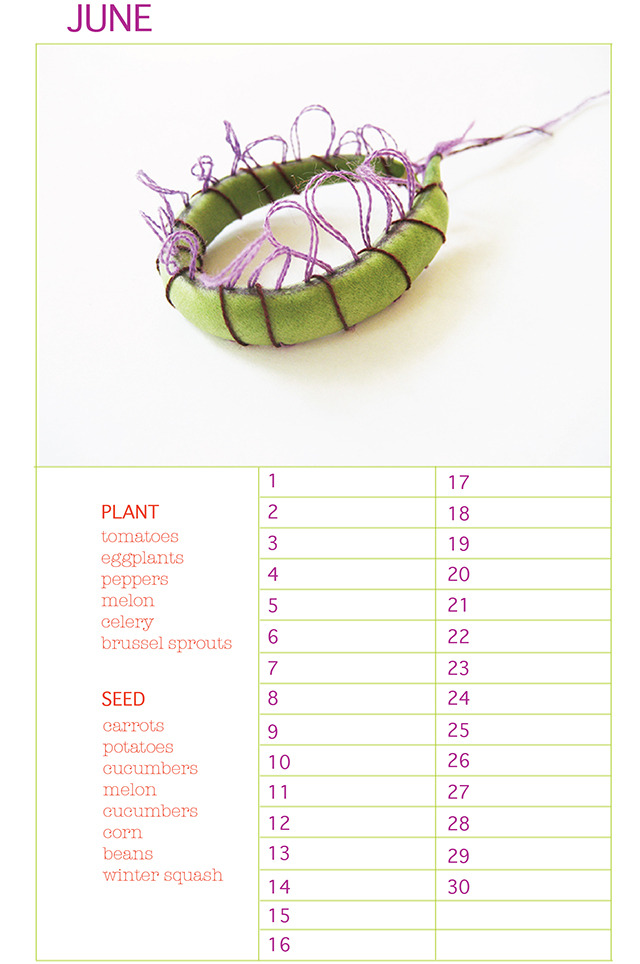 12 month Perpetual Planting Calendar for your Zone 5" x 7"