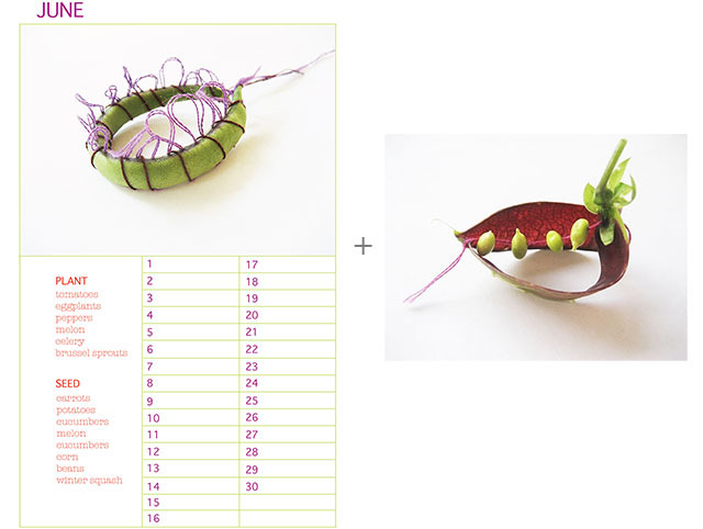 Planting Calendar + 8" x 10" Purple Podded Pea No. 4